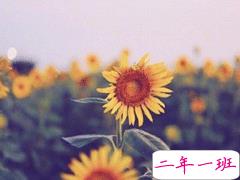 结婚纪念日说说温暖甜蜜 关于结婚纪念日的说说大全