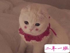 沙雕搞笑的微信状态说说 超级搞笑有趣的微信状态句子