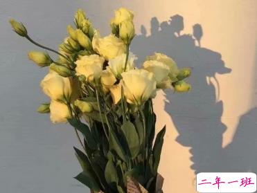 爱情简单美好的句子 超暖心的爱情说说发朋友圈1