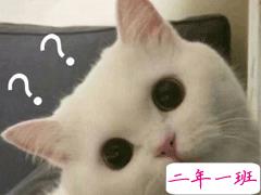 2021超级幽默可爱的怼人句子大全 2021网络怼人流行语