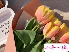 晒美食优质有趣的朋友圈文案 简短有趣的美食说说