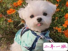 让人笑到停不下来的憨憨朋友圈文案 超级幽默有趣的说说