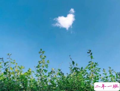 追女生的情话短句 感动女孩子到哭的情话2