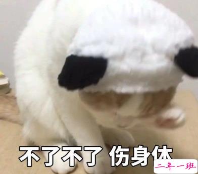 逗比女孩专属的朋友圈文案 逗比沙雕文案合集1