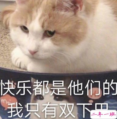 逗比女孩专属的朋友圈文案 逗比沙雕文案合集2