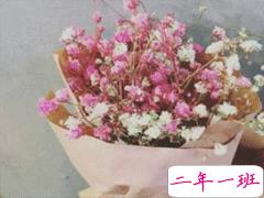 2020最新土味情话合集 抖音最流行的土味情话句子