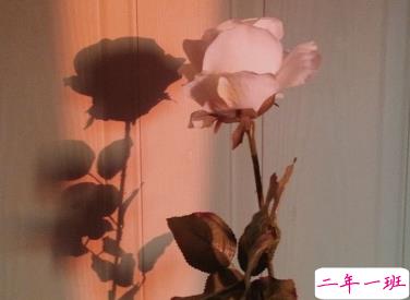 2019国庆节又是结婚纪念日的说说 简单直白的情话句子1