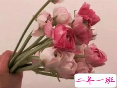 心酸的爱情说说大全 被爱情遗忘的说说