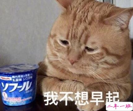 周一不想上班的心情说说 不想上班的有趣内涵说说2