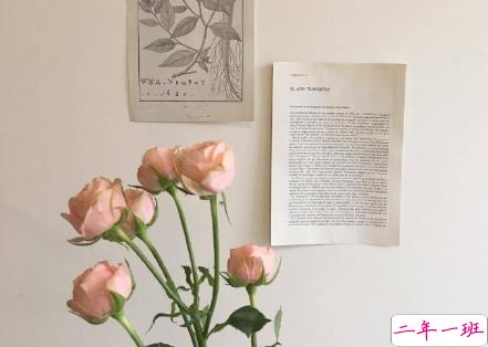 适合日常自拍沙雕的朋友圈文案 美女这么多还好我是其中一个2