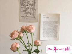 适合日常自拍沙雕的朋友圈文案 美女这么多还好我是其中一个