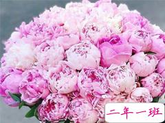 七夕快乐微信说说心情 2019最优美七夕情人节说说