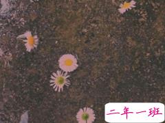 分手后很难受的说说 想不开放不下的爱情说说