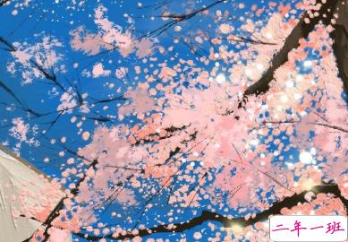  2020合适双十一光棍节发的说说 大家早日脱单的又去文案2