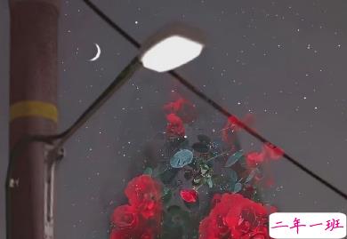 看着笑死人的朋友圈说说 2021一波沙雕又可爱的文案1