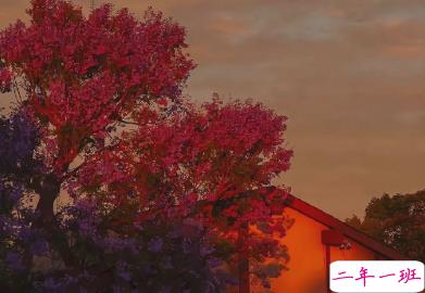 看着笑死人的朋友圈说说 2021一波沙雕又可爱的文案2