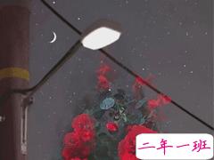 看着笑死人的朋友圈说说 2021一波沙雕又可爱的文案