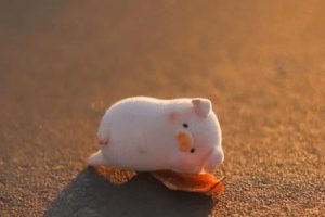 2021谐音梗的甜甜沙雕文案 具有反差的朋友圈文案