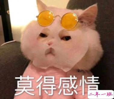 这些可爱又有趣的文案 我以为你回我信息犯法呢1