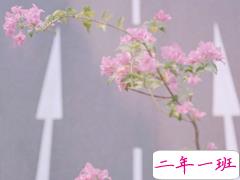 早安情话写给女朋友 让女生瞬间心动的爱情短语