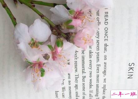 分手说说潇洒霸气的那种 洒脱霸气的朋友圈分手句子1