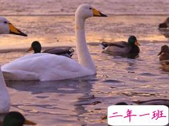 朋友圈那些有意思的语录 下课铃一响精神百倍