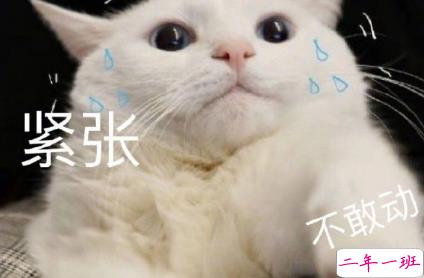 个性可爱搞笑幽默优美文案说说 物极必反人美必单1