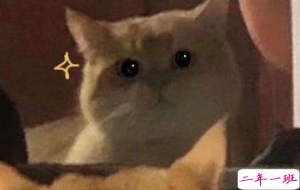 个性可爱搞笑幽默优美文案说说 物极必反人美必单2