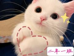 逗人开心又撩人的搞笑说说 今天淋雨了真担心我会可爱到发芽