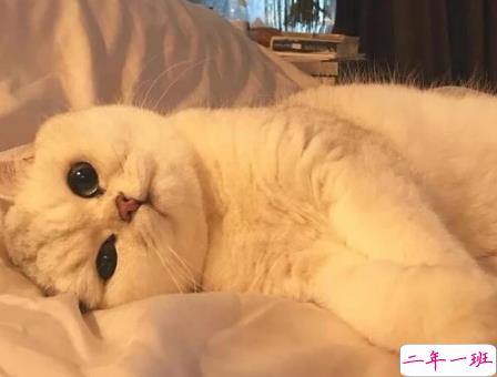 一本正经的沙雕女孩快乐皮句 夏天太热了想找个人冷战1