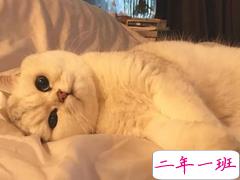 一本正经的沙雕女孩快乐皮句 夏天太热了想找个人冷战