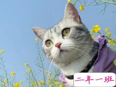 无聊想发个朋友圈搞笑说说 自我介绍一下我是喜欢你的胆小鬼