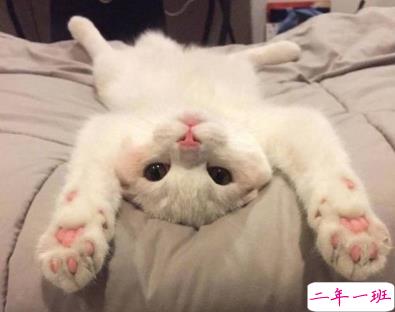 调皮搞怪的说说超短搞笑 明天再喜欢你吧我今天真的太困了1