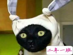 发个说说吸引人搞笑的短句 夏天来了我先黑为敬