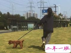 2020精辟搞笑说说开心幽默 如果喝水都会胖为啥不喝奶茶呢