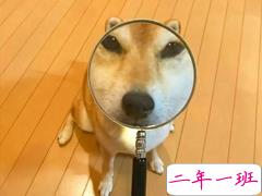 幽默搞笑说说可爱又沙雕 能笑死人的朋友圈短句子