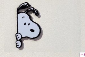 抖音热门搞笑说说合集有点酷 你连我都不理 那你理什么 理发师吗