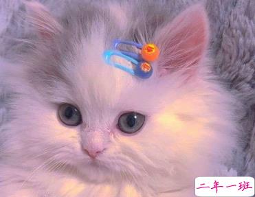 27条有趣搞笑沙雕句子 嘻嘻哈哈的搞笑心情说说1