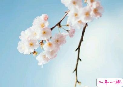 最好朋友领证结婚的祝福说说  2019好闺蜜结婚的说说优美好听2