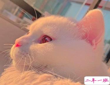 27条有趣搞笑沙雕句子 嘻嘻哈哈的搞笑心情说说2