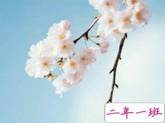 最好朋友领证结婚的祝福说说  2019好闺蜜结婚的说说优美好听