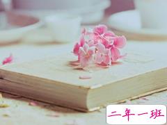 快手爱情语录说说大全 快手说说句子热门情话