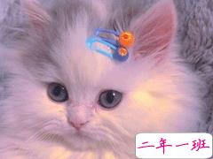 27条有趣搞笑沙雕句子 嘻嘻哈哈的搞笑心情说说