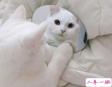 笑到抽筋的皮句子 让人开心的幽默句子1