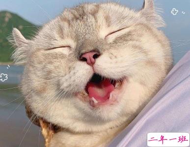 笑到抽筋的皮句子 让人开心的幽默句子2