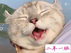 笑到抽筋的皮句子 让人开心的幽默句子