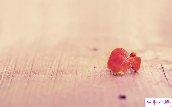 心累的说说对爱情失望了 身心疲惫想放弃说说1