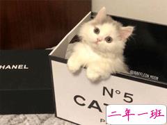 笑岔气的幽默句子大全 微信搞笑说说简短精辟