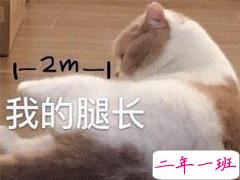 发朋友圈的沙雕文案 笑到窒息的说说句子