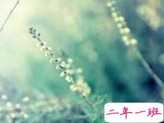 抖音经典好听的爱情说说 心有多近那么距离就有多近